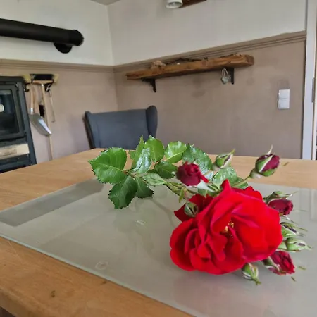 Haus Ostseerose - Florentine, Linus, Ostseerose 3* Hagen (Rugen)